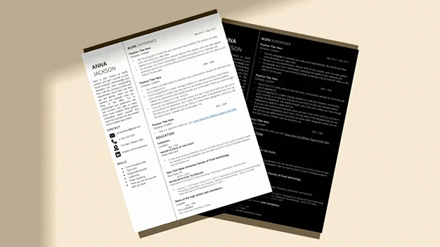 CV Optimization & Profiling Services